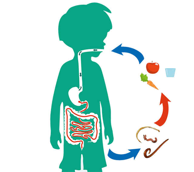 az emberi paraziták általi fertőzés útjai